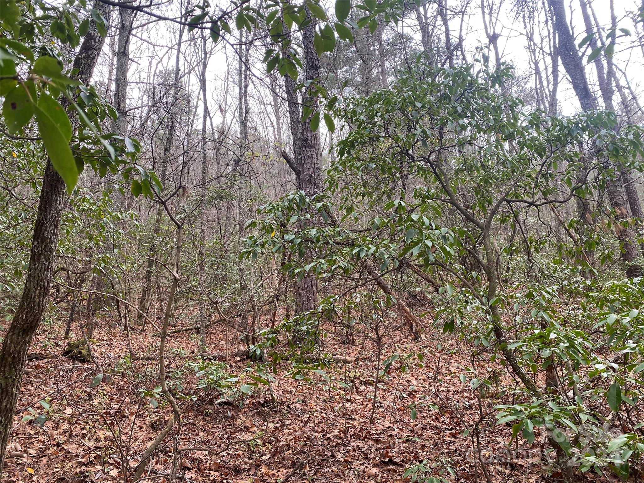 Lot 11 Fox Ridge Trail Marion NC 28752