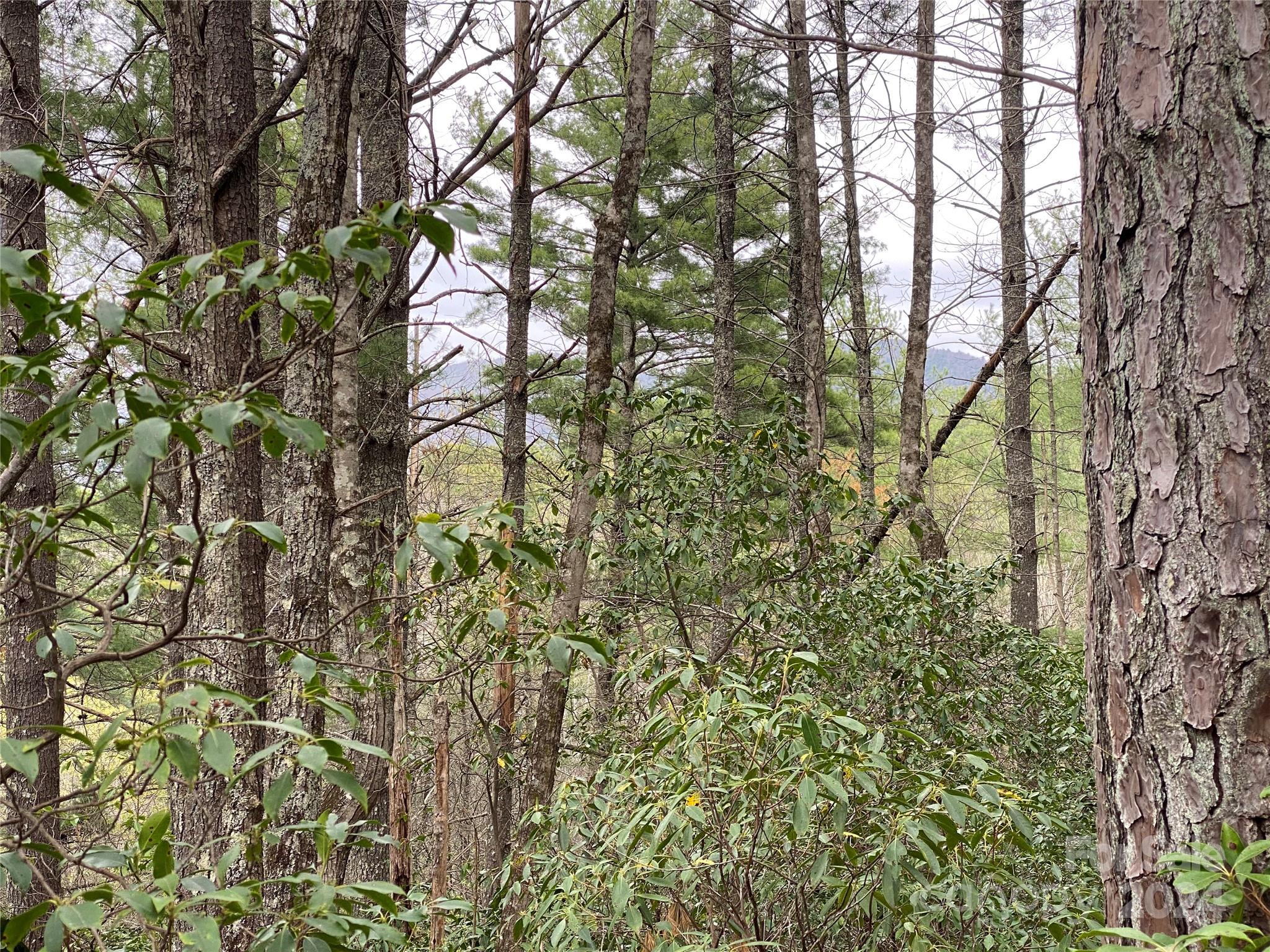 Lot 11 Fox Ridge Trail Marion NC 28752