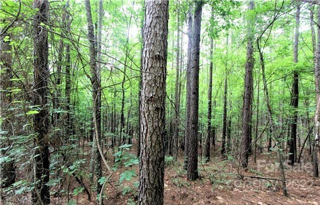 0 Chasewood Drive Rutherfordton NC 28139