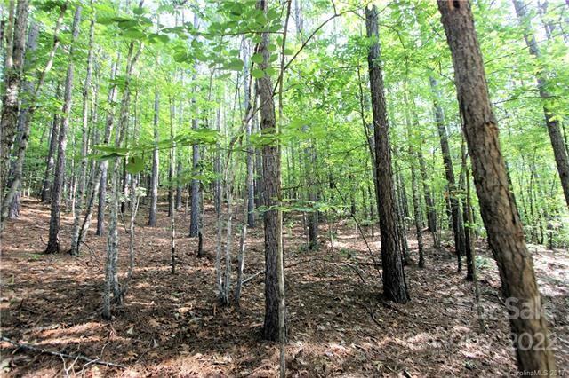 0 Chasewood Drive Rutherfordton NC 28139
