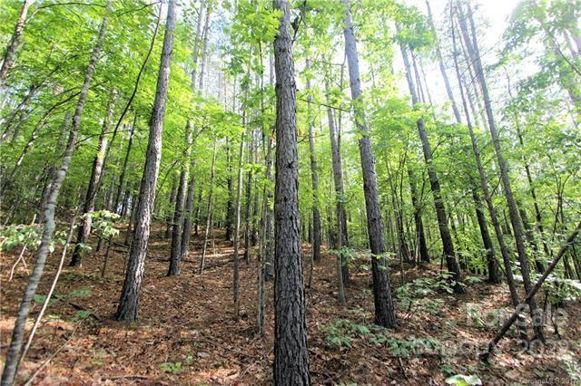 0 Chasewood Drive Rutherfordton NC 28139