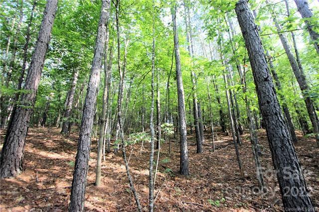 0 Chasewood Drive Rutherfordton NC 28139