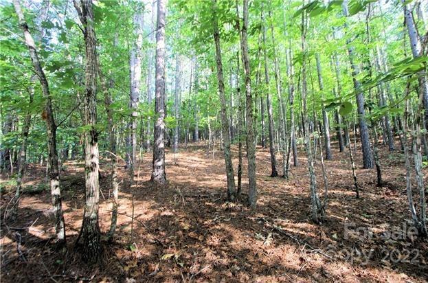 0 Chasewood Drive Rutherfordton NC 28139