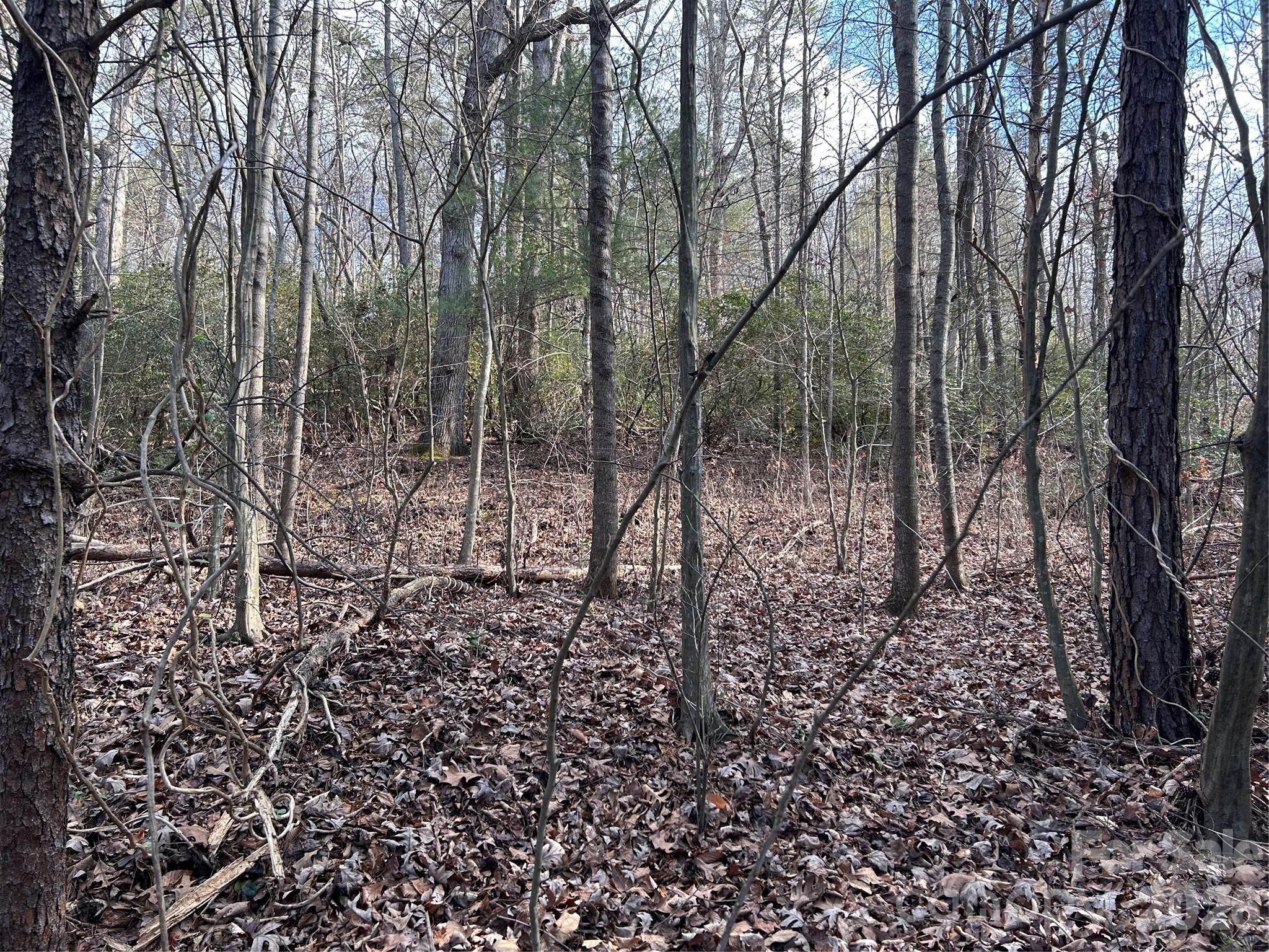 301 Burke Street Hickory NC 28601