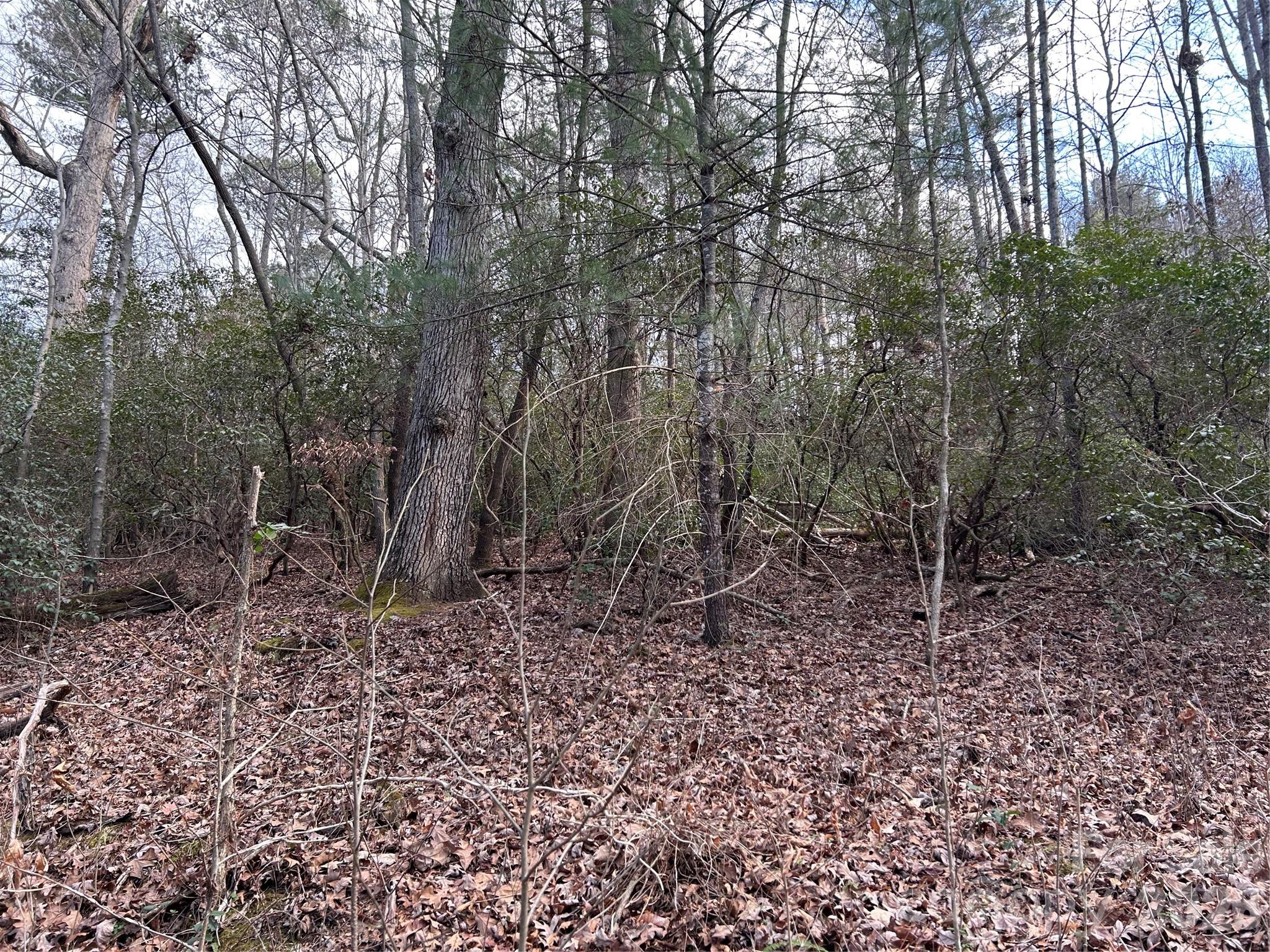 301 Burke Street Hickory NC 28601