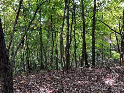 0 Old Forge Drive Bostic NC 28018