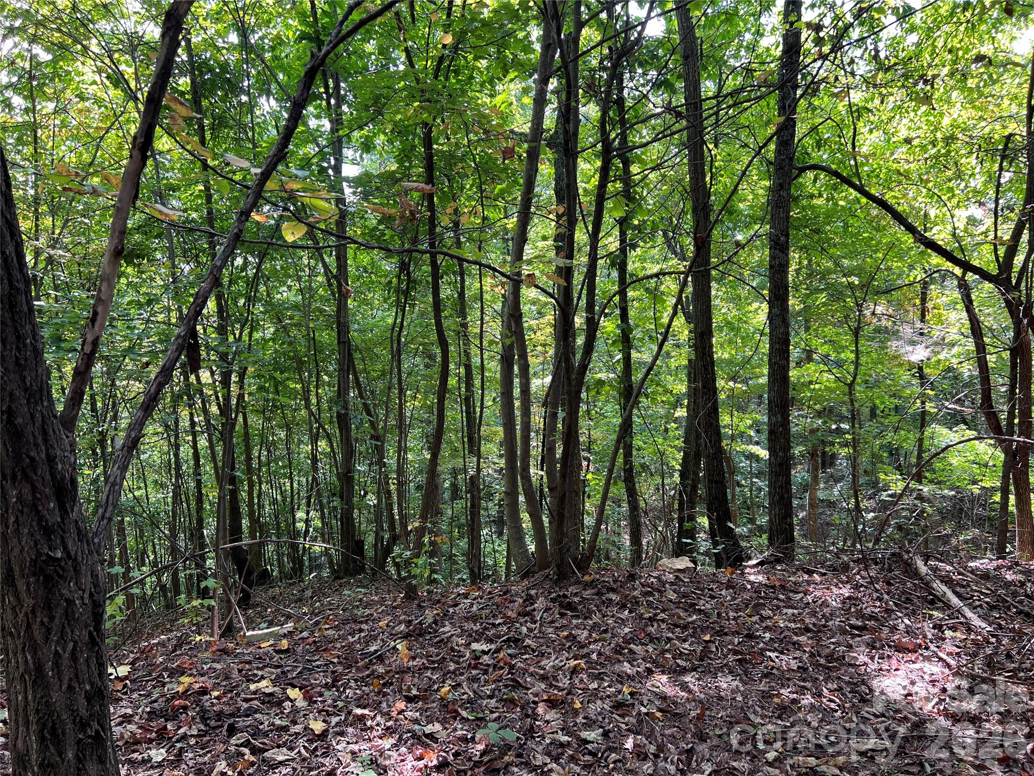 0 Old Forge Drive Bostic NC 28018