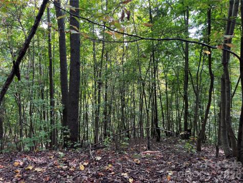 0 Old Forge Drive Bostic NC 28018