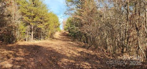 151 Cobb Road Blacksburg SC 29702