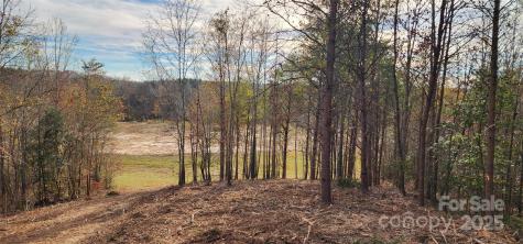 151 Cobb Road Blacksburg SC 29702