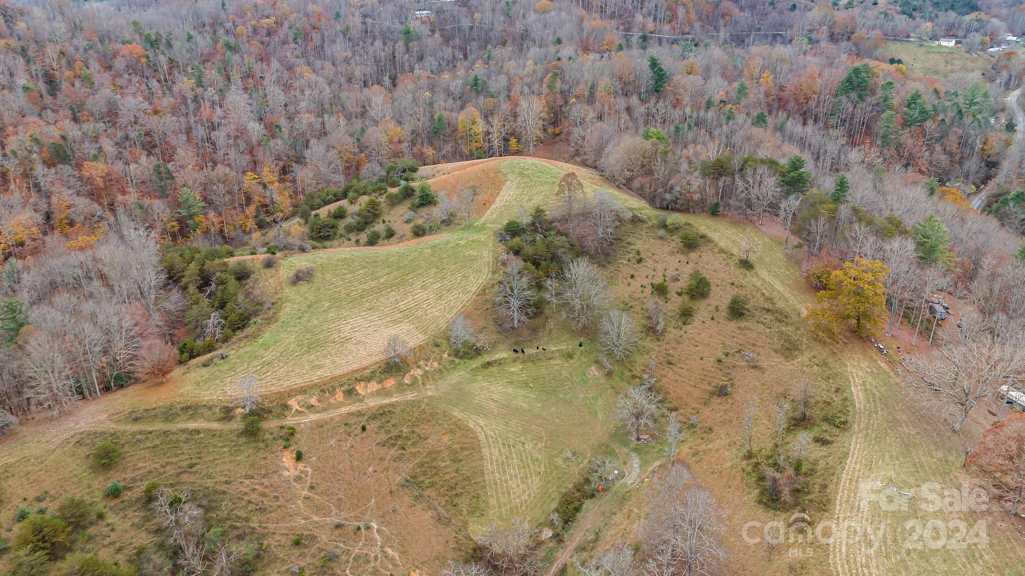 222 Indigo Bunting Lane Marshall NC 28753
