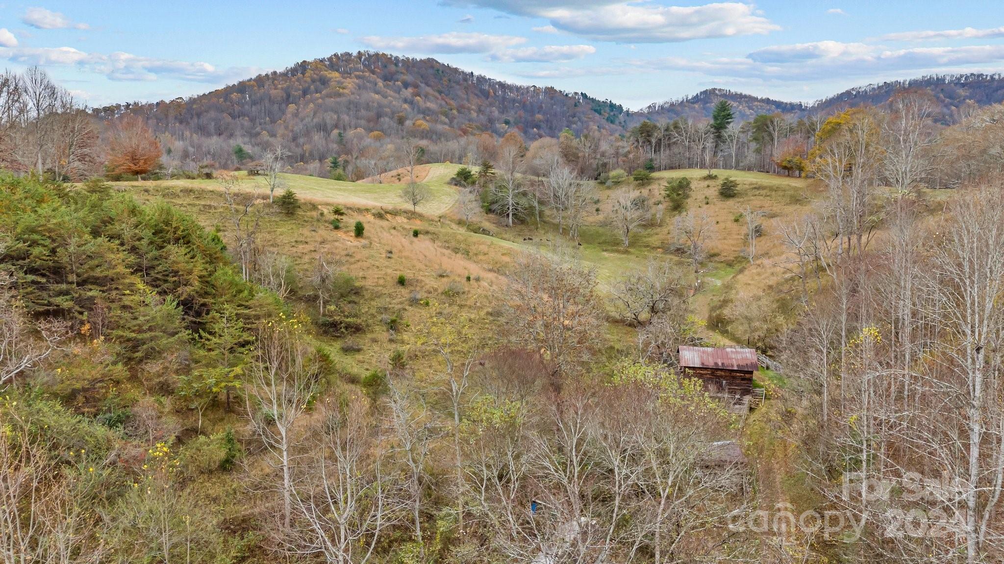222 Indigo Bunting Lane Marshall NC 28753