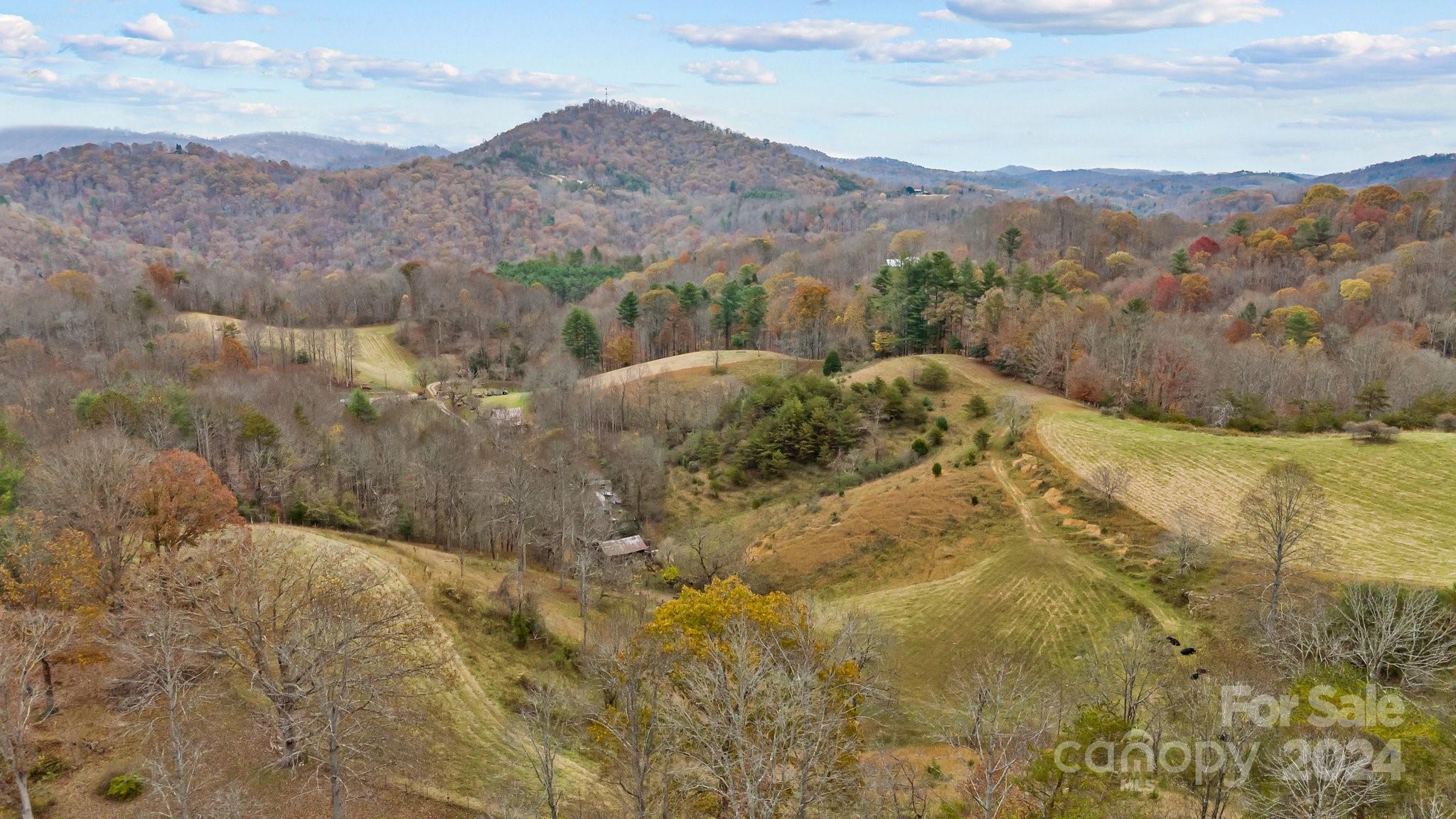 222 Indigo Bunting Lane Marshall NC 28753