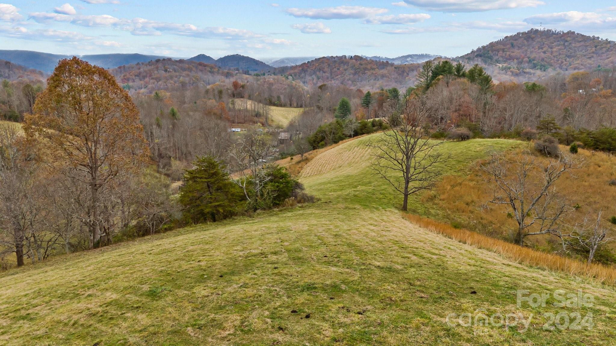 222 Indigo Bunting Lane Marshall NC 28753