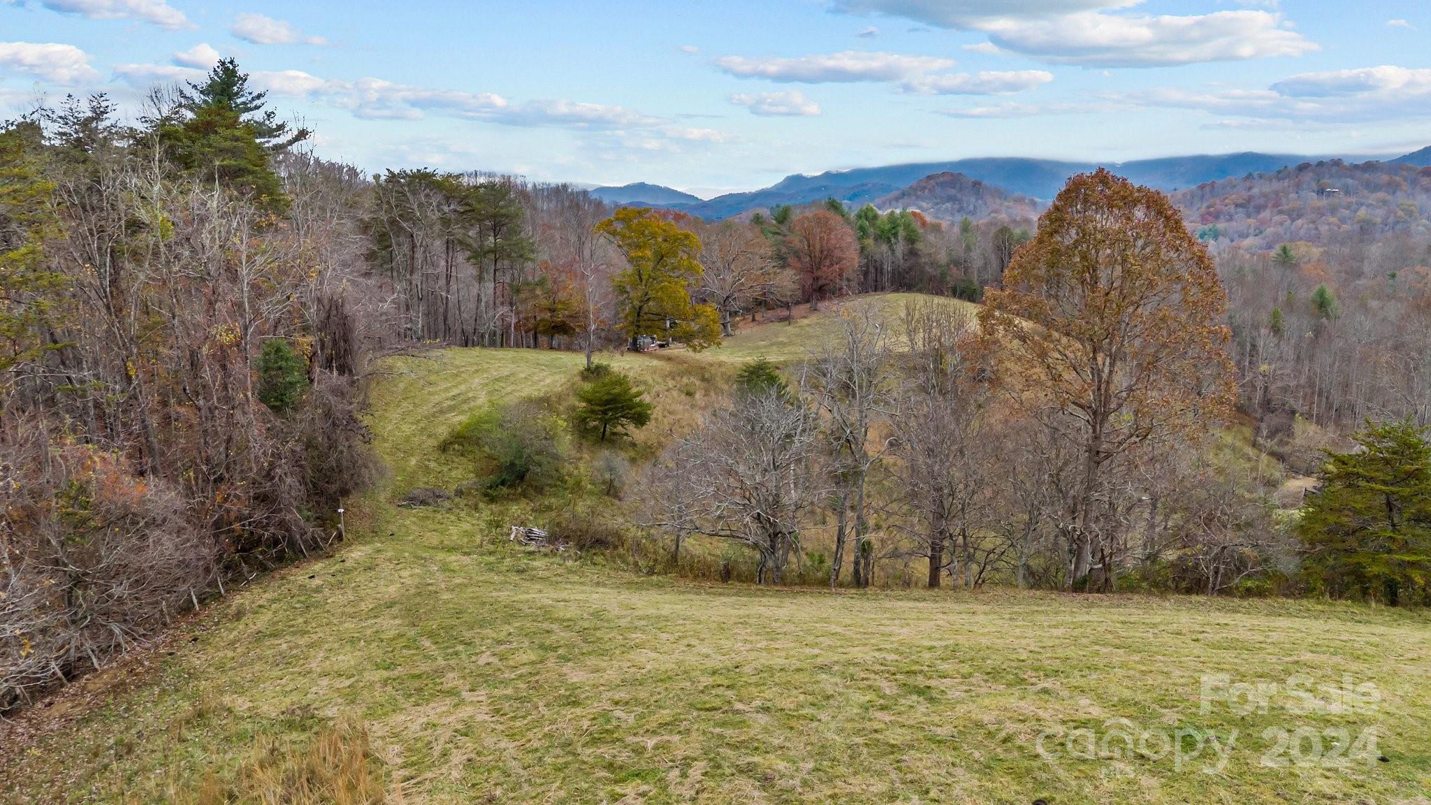 222 Indigo Bunting Lane Marshall NC 28753