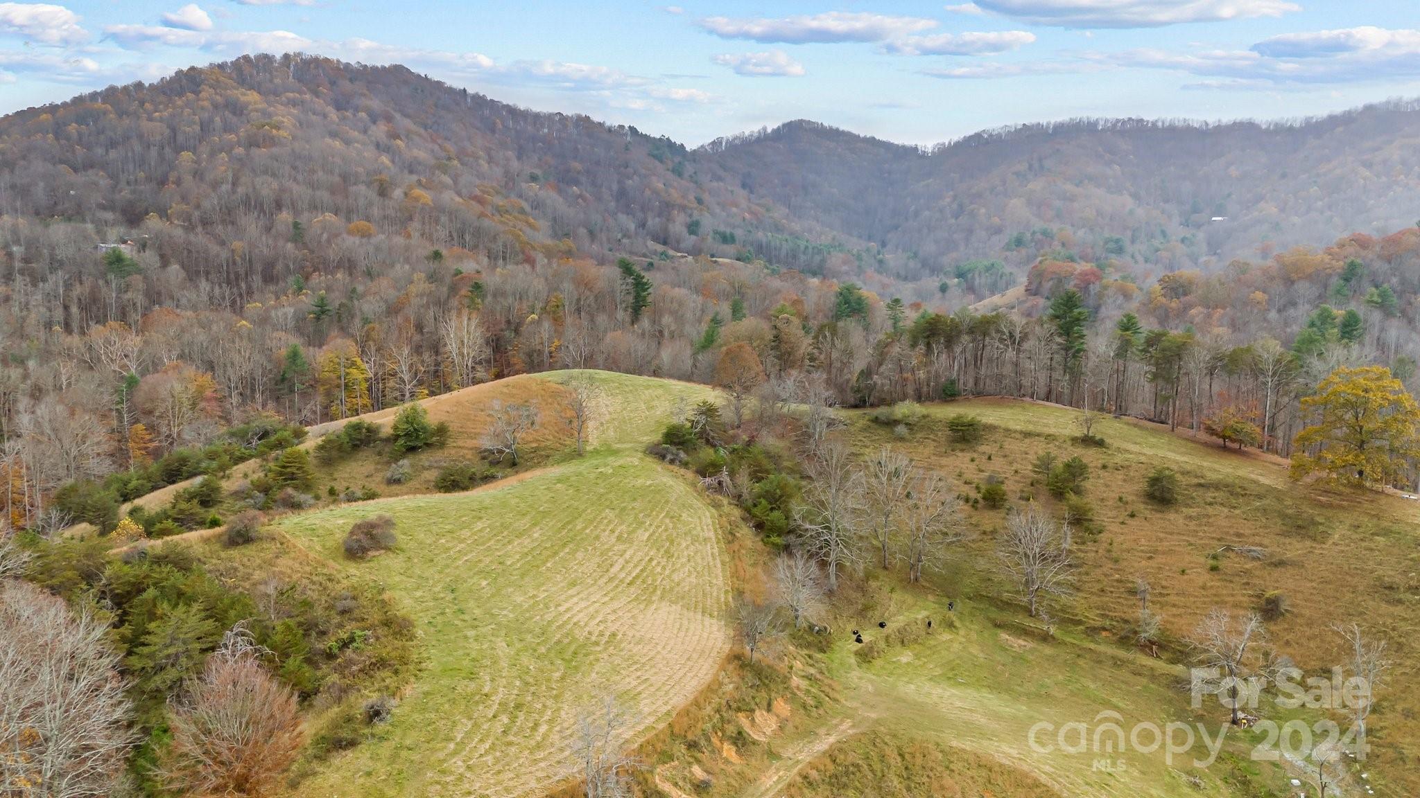 222 Indigo Bunting Lane Marshall NC 28753