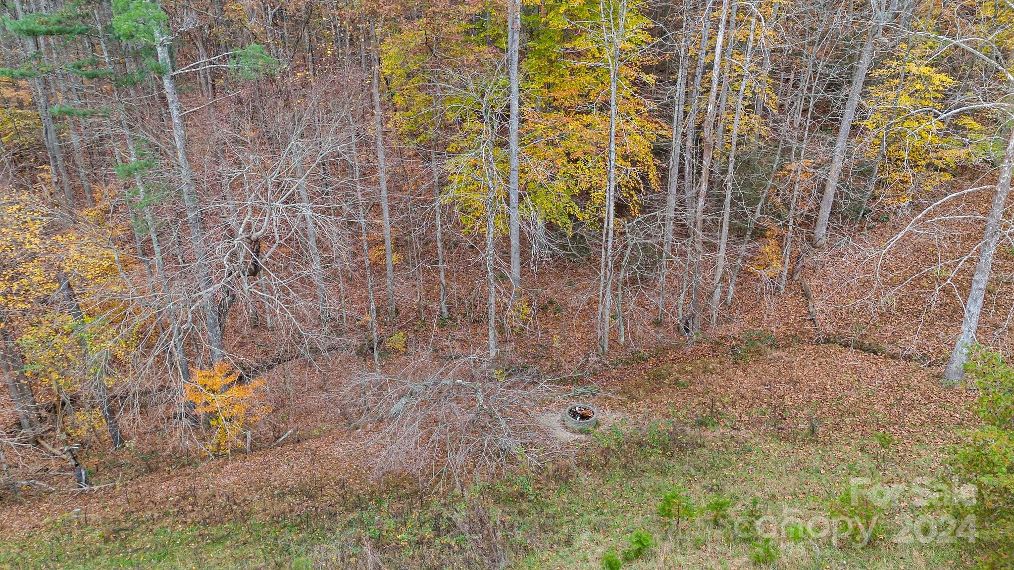 222 Indigo Bunting Lane Marshall NC 28753