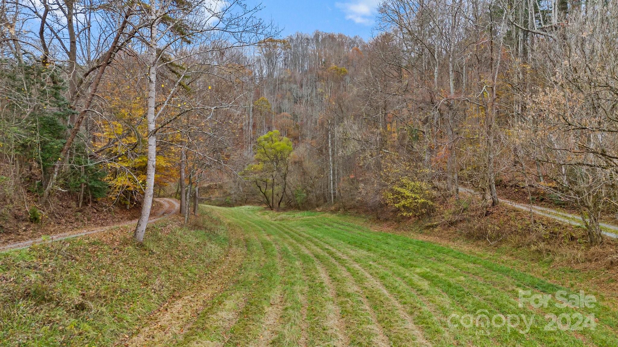 222 Indigo Bunting Lane Marshall NC 28753