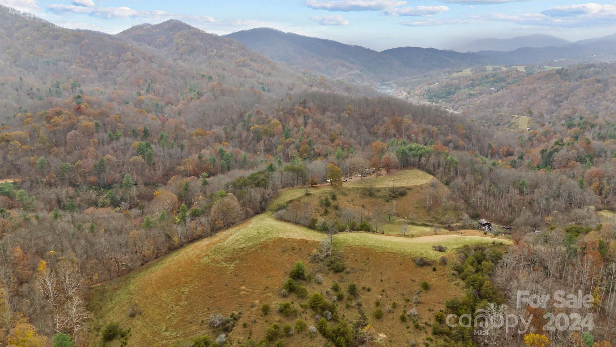222 Indigo Bunting Lane Marshall NC 28753