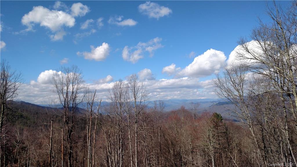 Lot 14 Wild Turkey Drive Whittier NC 28789