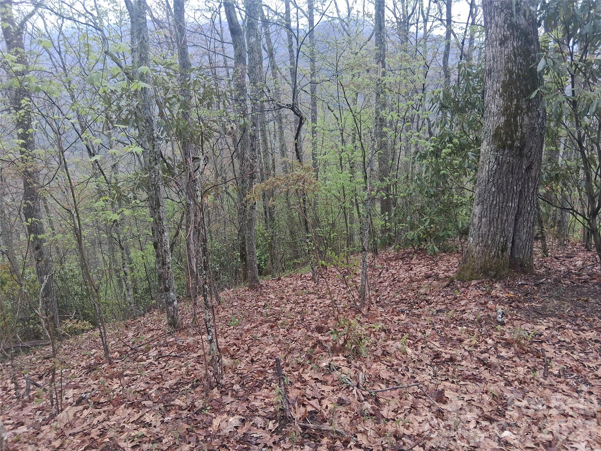 0000 Bear Creek Road Maggie Valley NC 28721
