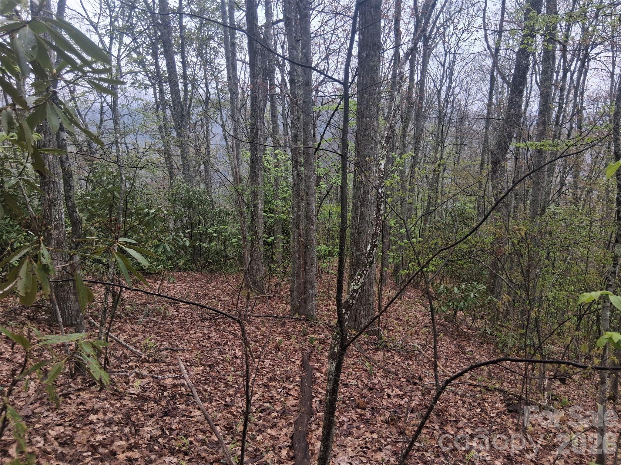 0000 Bear Creek Road Maggie Valley NC 28721