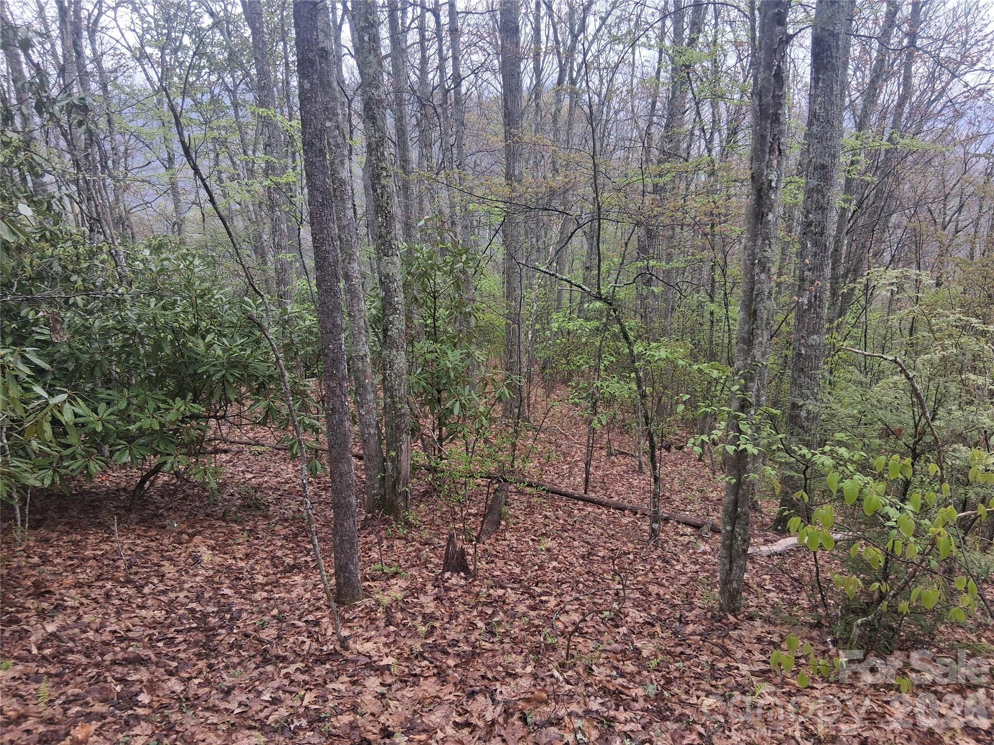 0000 Bear Creek Road Maggie Valley NC 28721