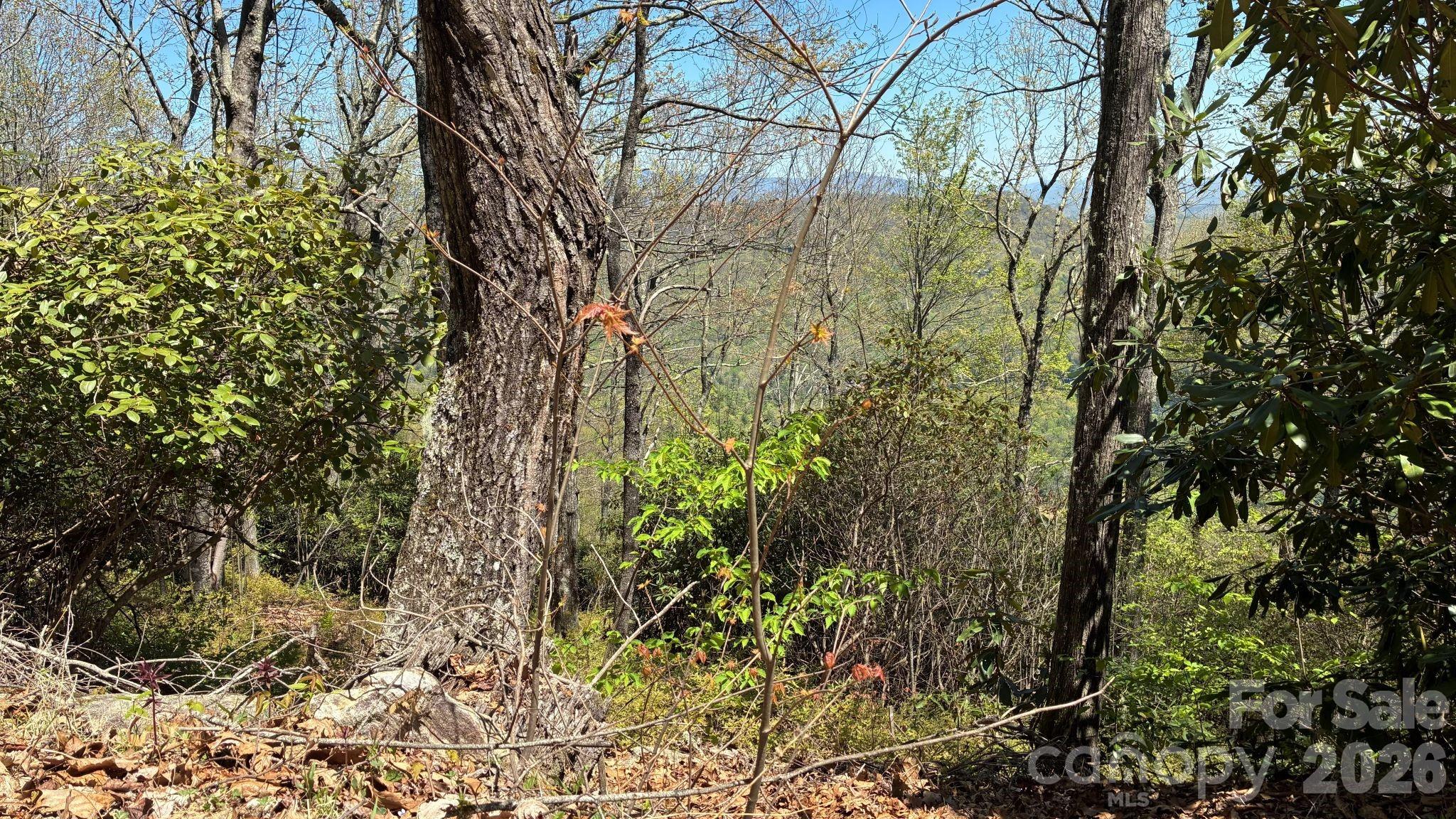 P 2 L020rv Toxaway Cliff Lake Toxaway NC 28747