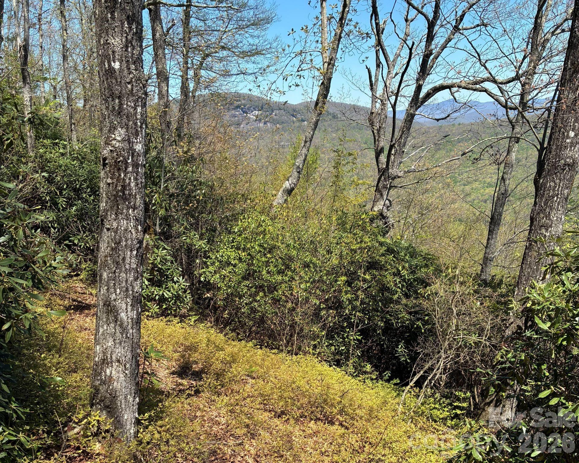 P 2 L020rv Toxaway Cliff Lake Toxaway NC 28747
