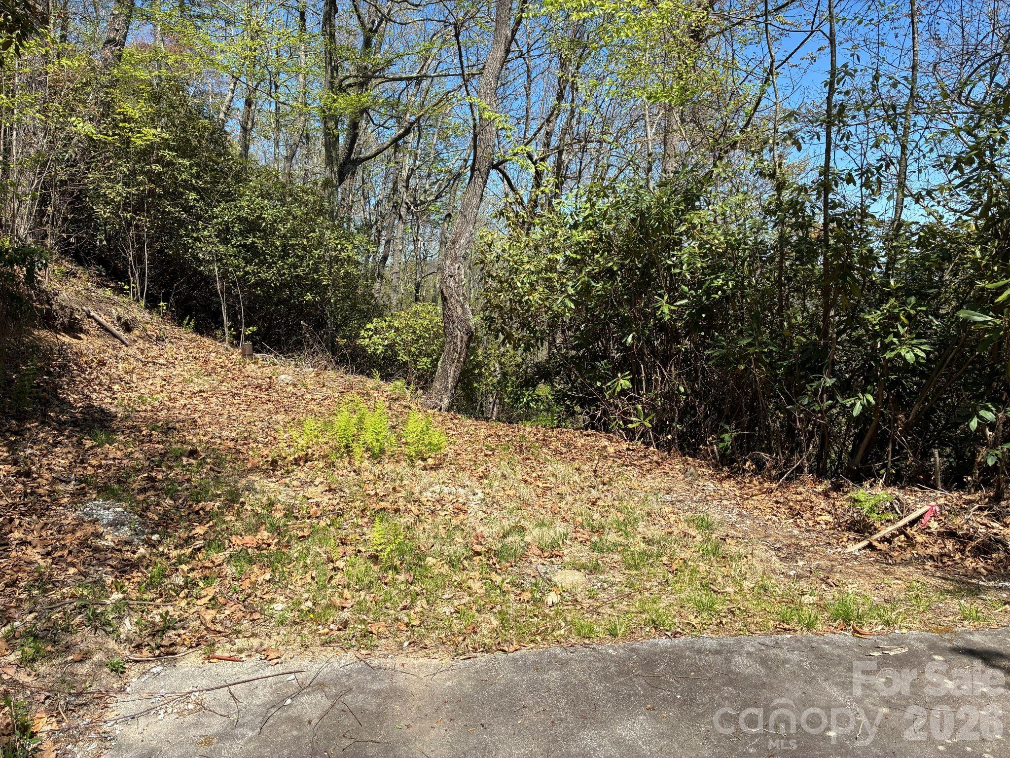 P 2 L020rv Toxaway Cliff Lake Toxaway NC 28747