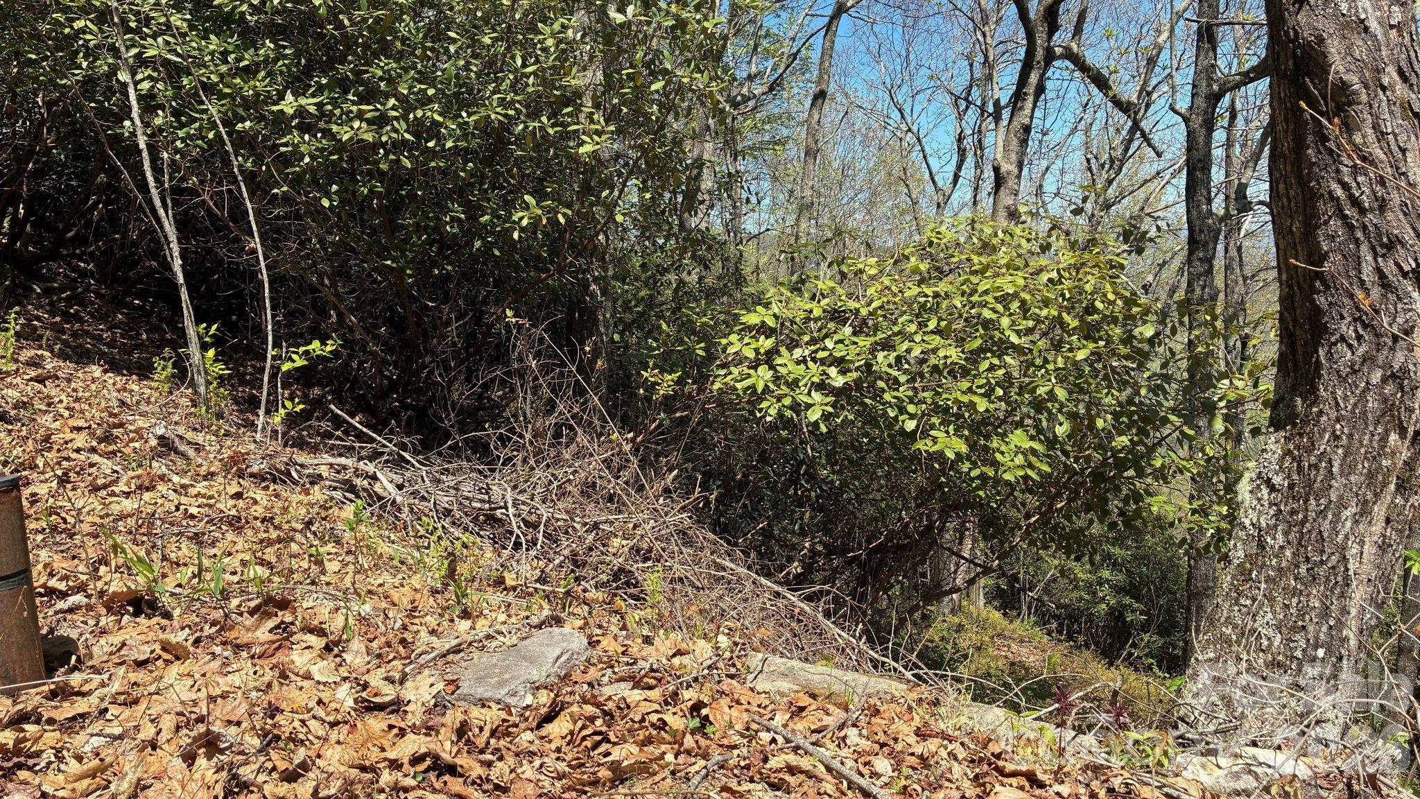 P 2 L020rv Toxaway Cliff Lake Toxaway NC 28747