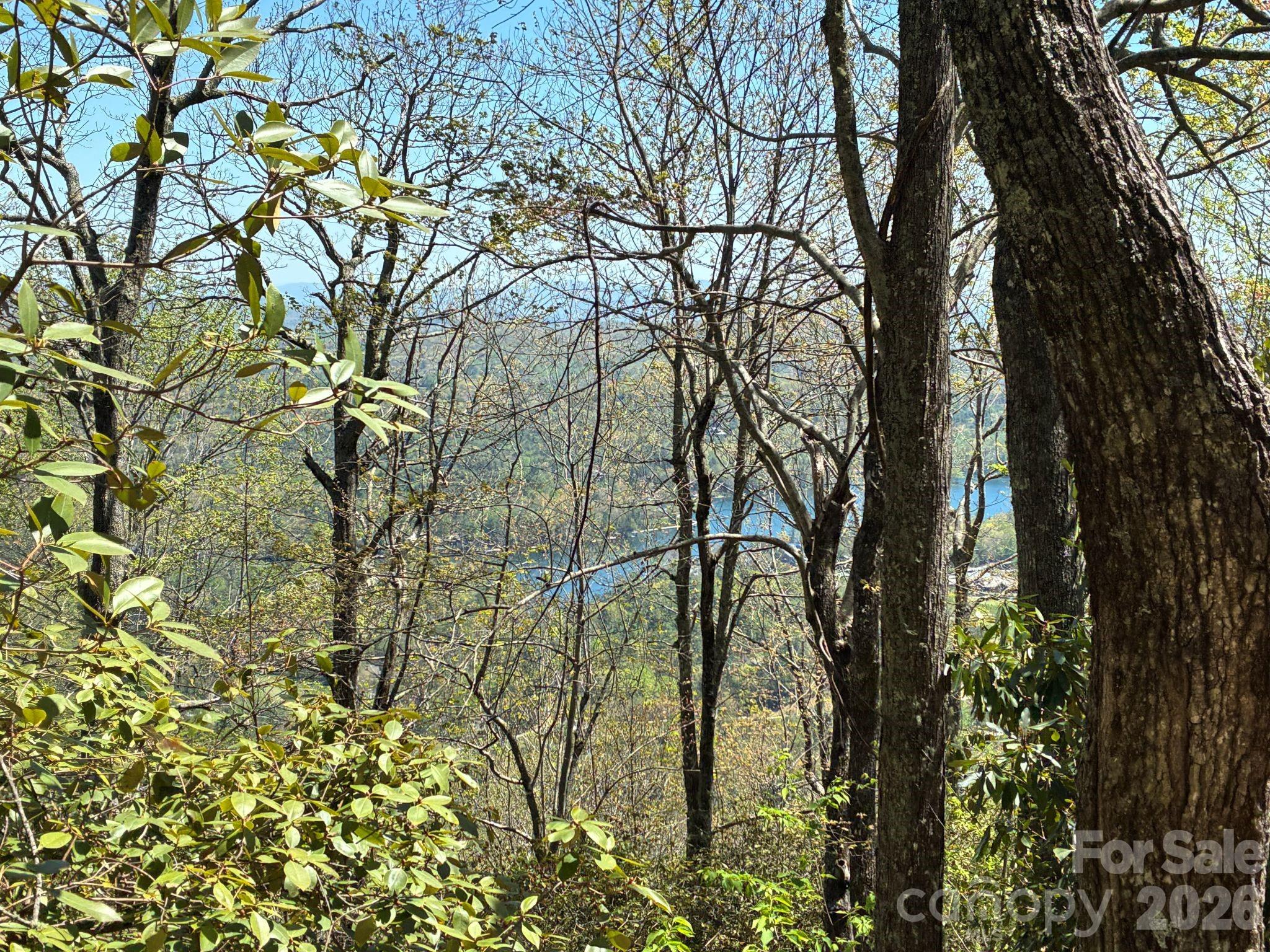 P 2 L020rv Toxaway Cliff Lake Toxaway NC 28747