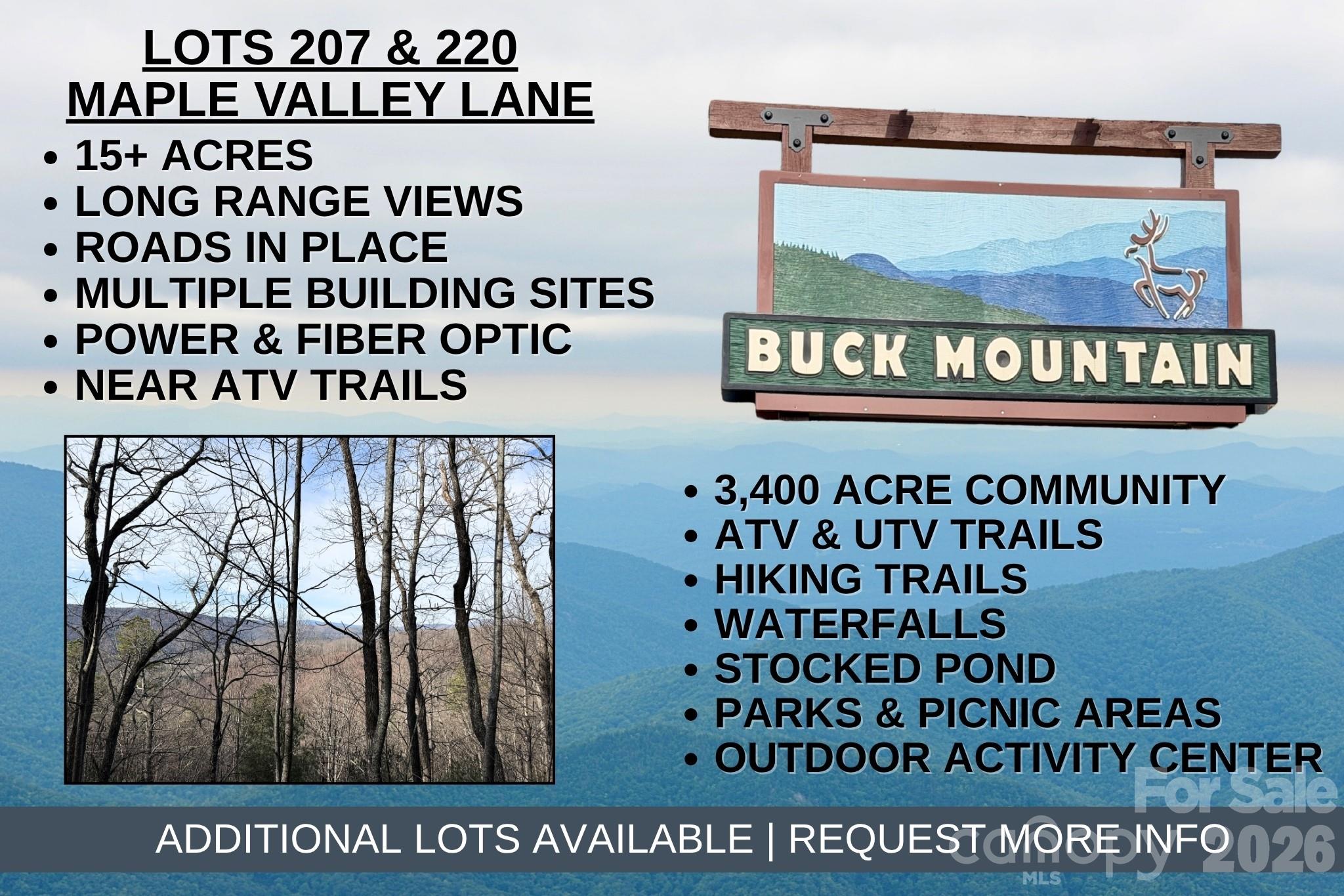 Tbd Maple Valley Lane Purlear NC 28665