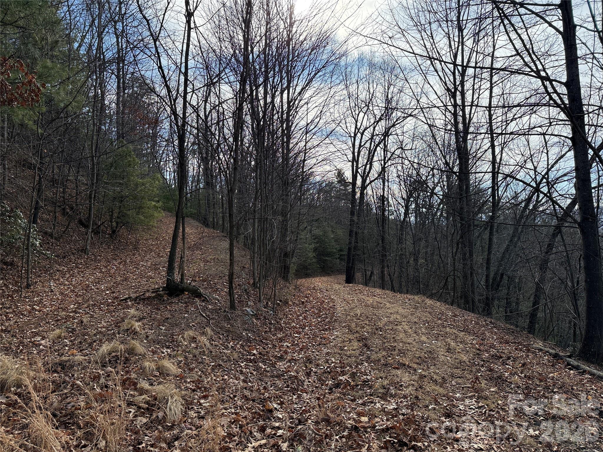 Tbd Maple Valley Lane Purlear NC 28665