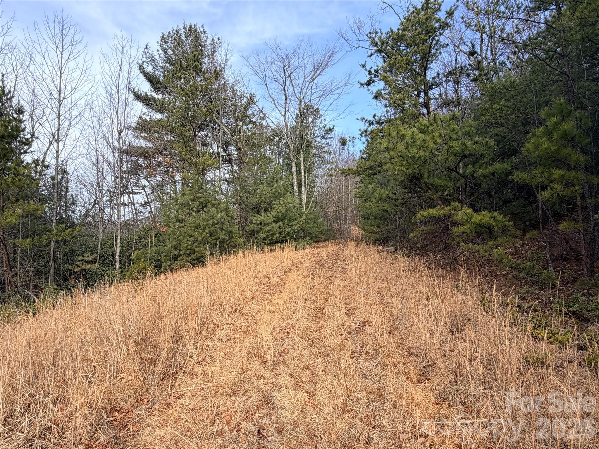 Tbd Maple Valley Lane Purlear NC 28665