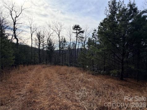 Tbd Maple Valley Lane Purlear NC 28665