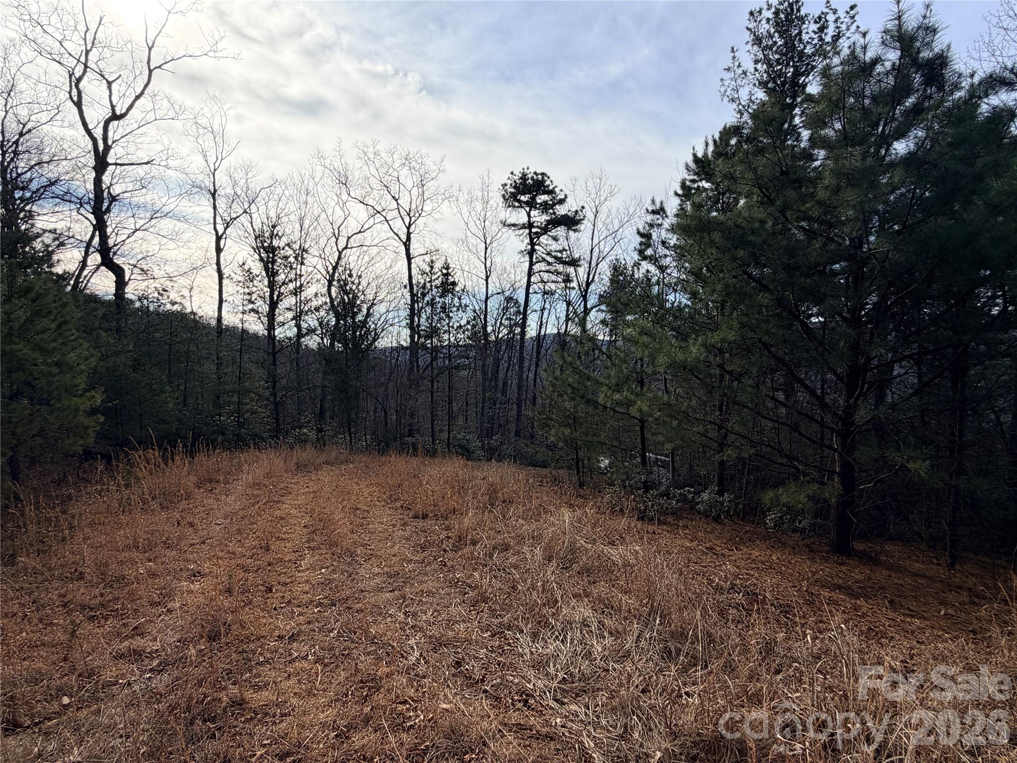 Tbd Maple Valley Lane Purlear NC 28665