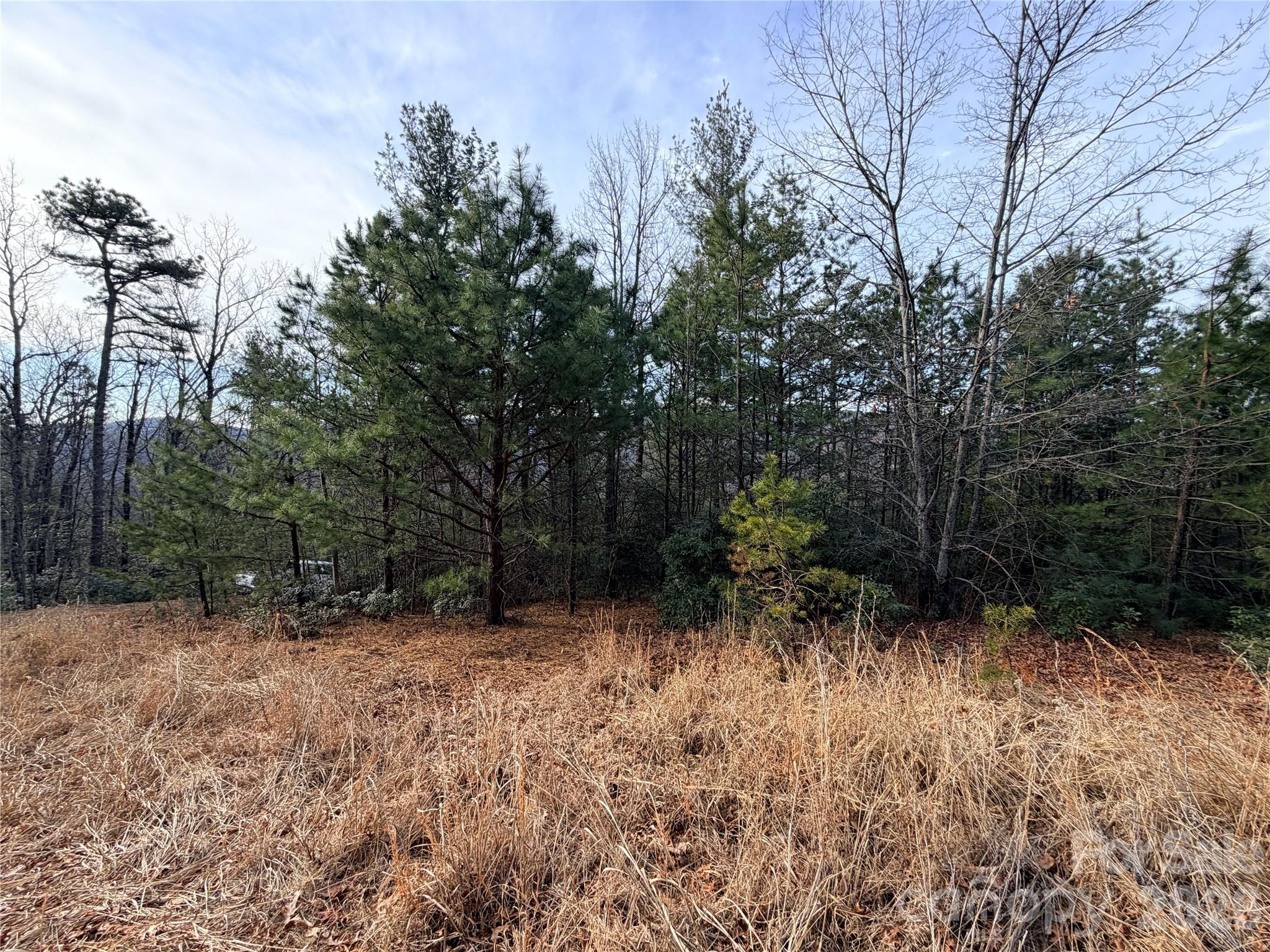 Tbd Maple Valley Lane Purlear NC 28665