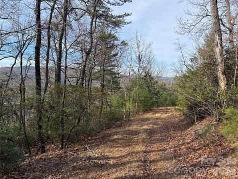 Tbd Maple Valley Lane Purlear NC 28665