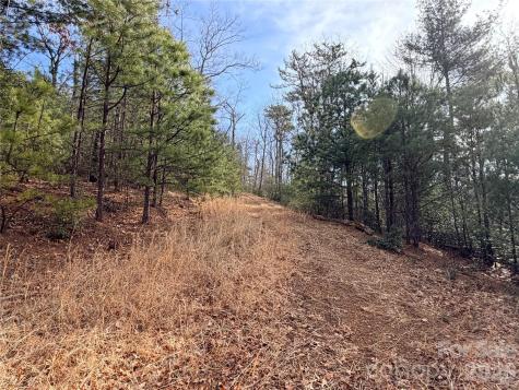 Tbd Maple Valley Lane Purlear NC 28665