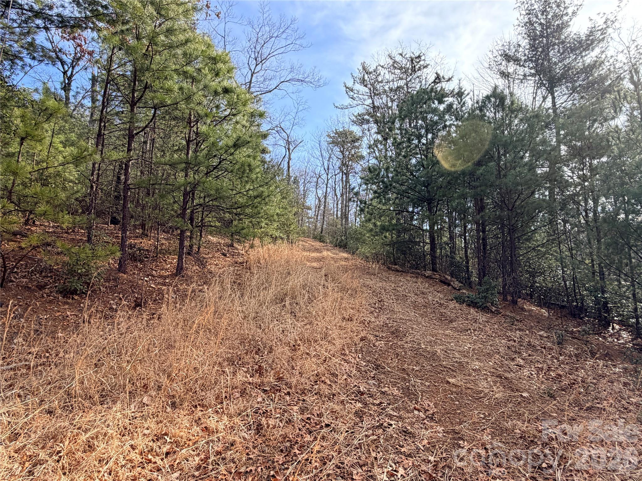 Tbd Maple Valley Lane Purlear NC 28665