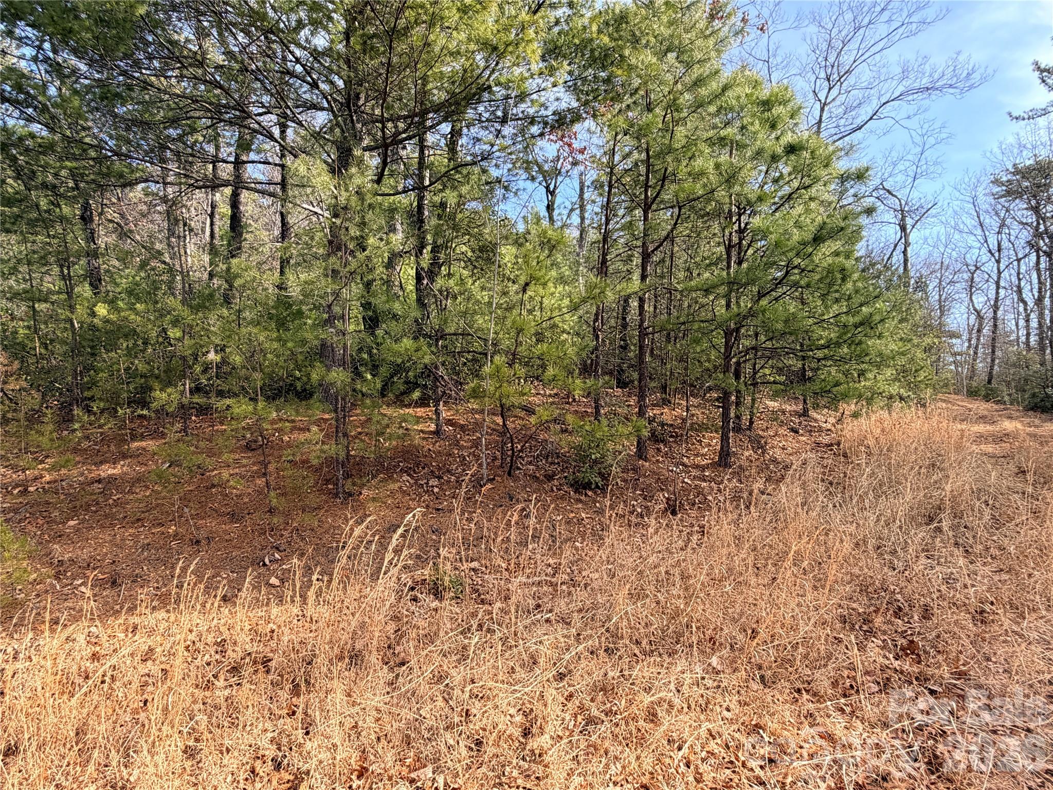 Tbd Maple Valley Lane Purlear NC 28665
