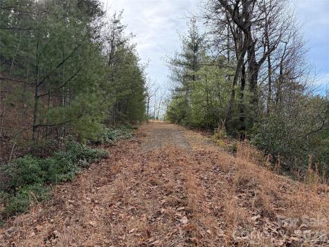 Tbd Maple Valley Lane Purlear NC 28665