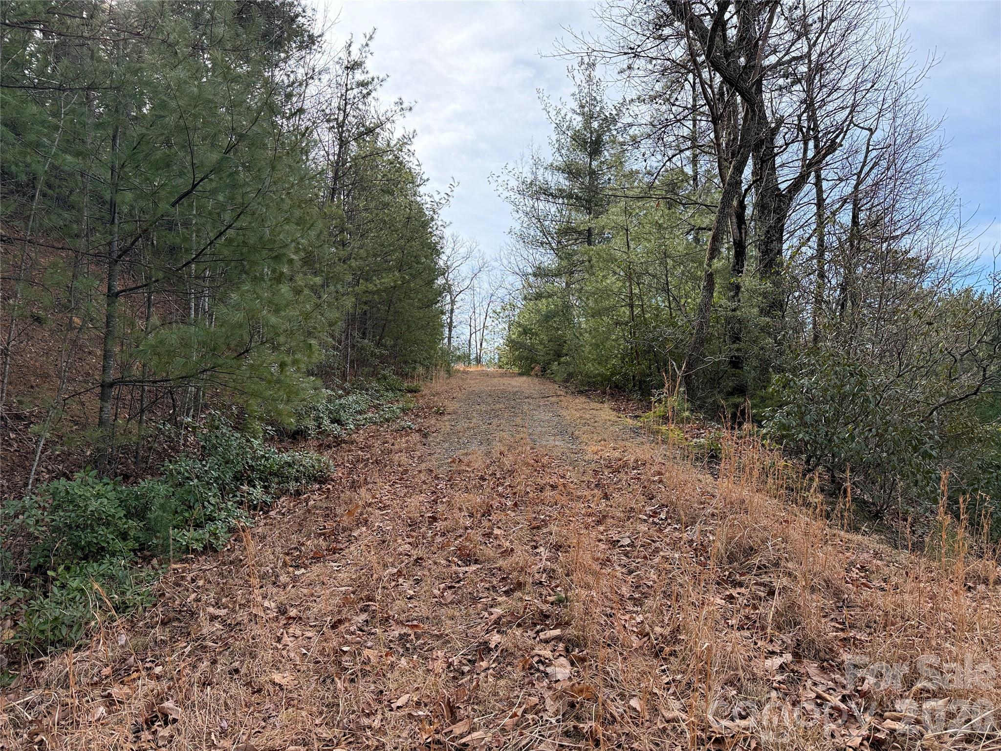 Tbd Maple Valley Lane Purlear NC 28665