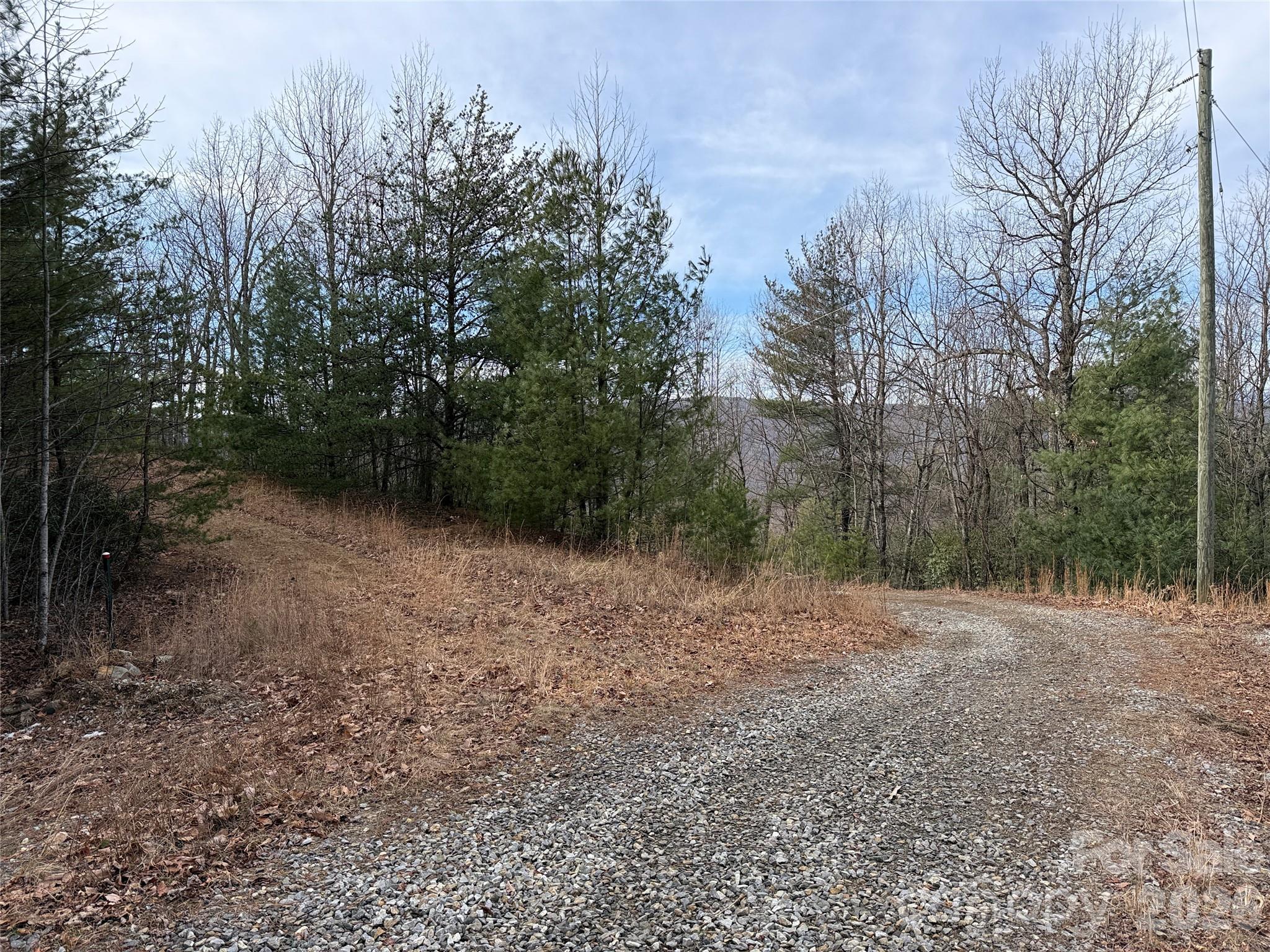 Tbd Maple Valley Lane Purlear NC 28665