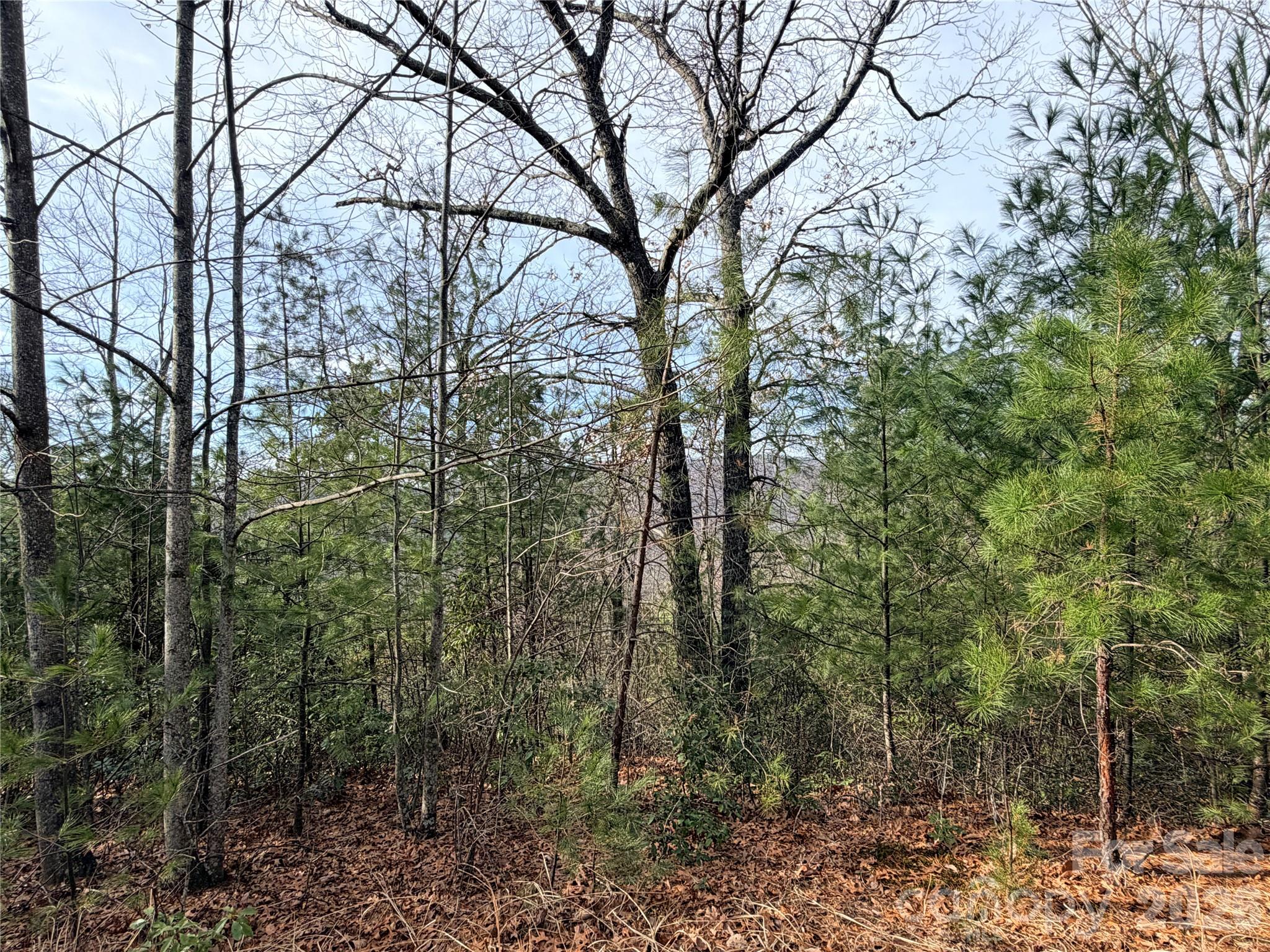 Tbd Maple Valley Lane Purlear NC 28665