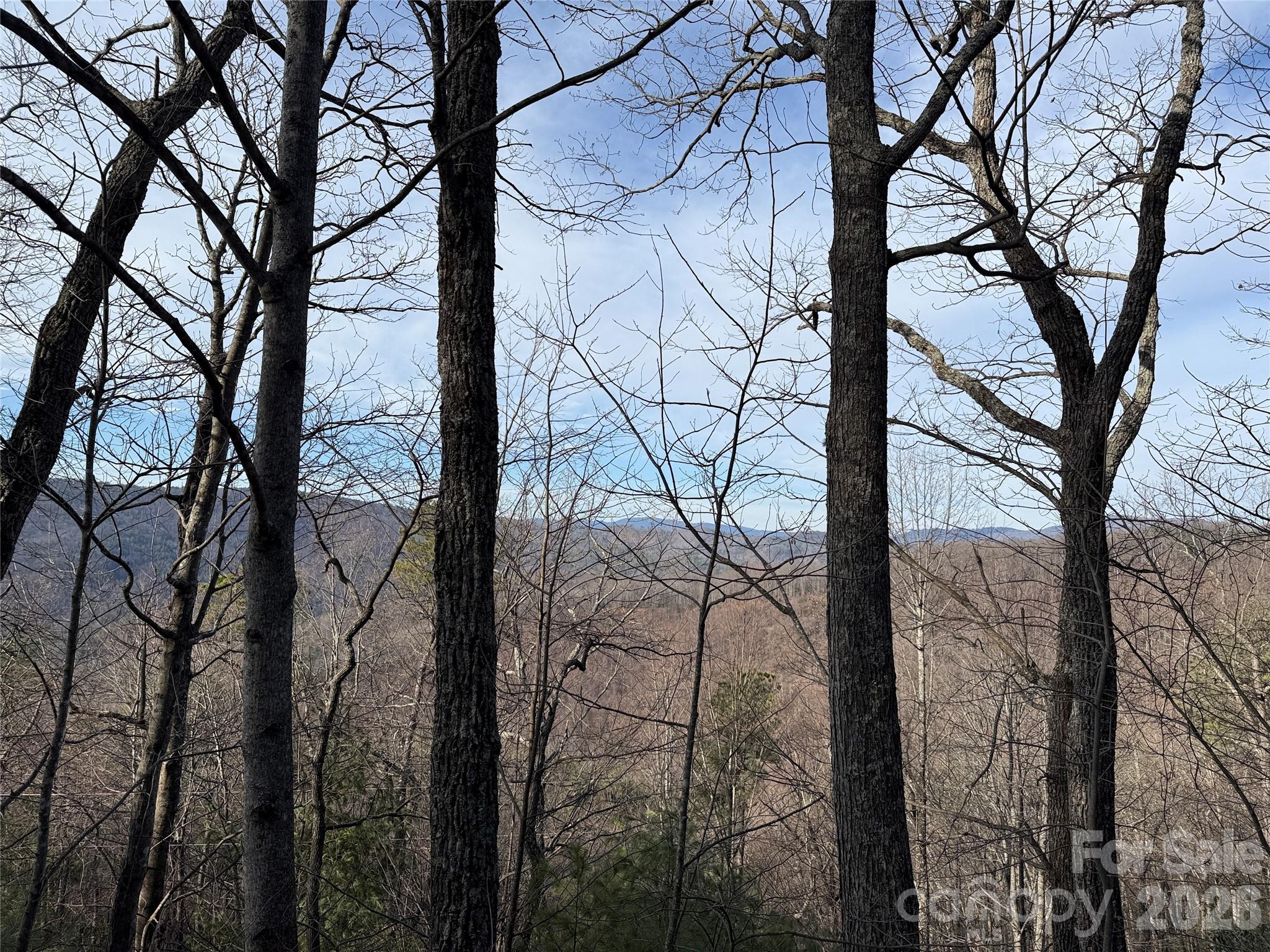 Tbd Maple Valley Lane Purlear NC 28665