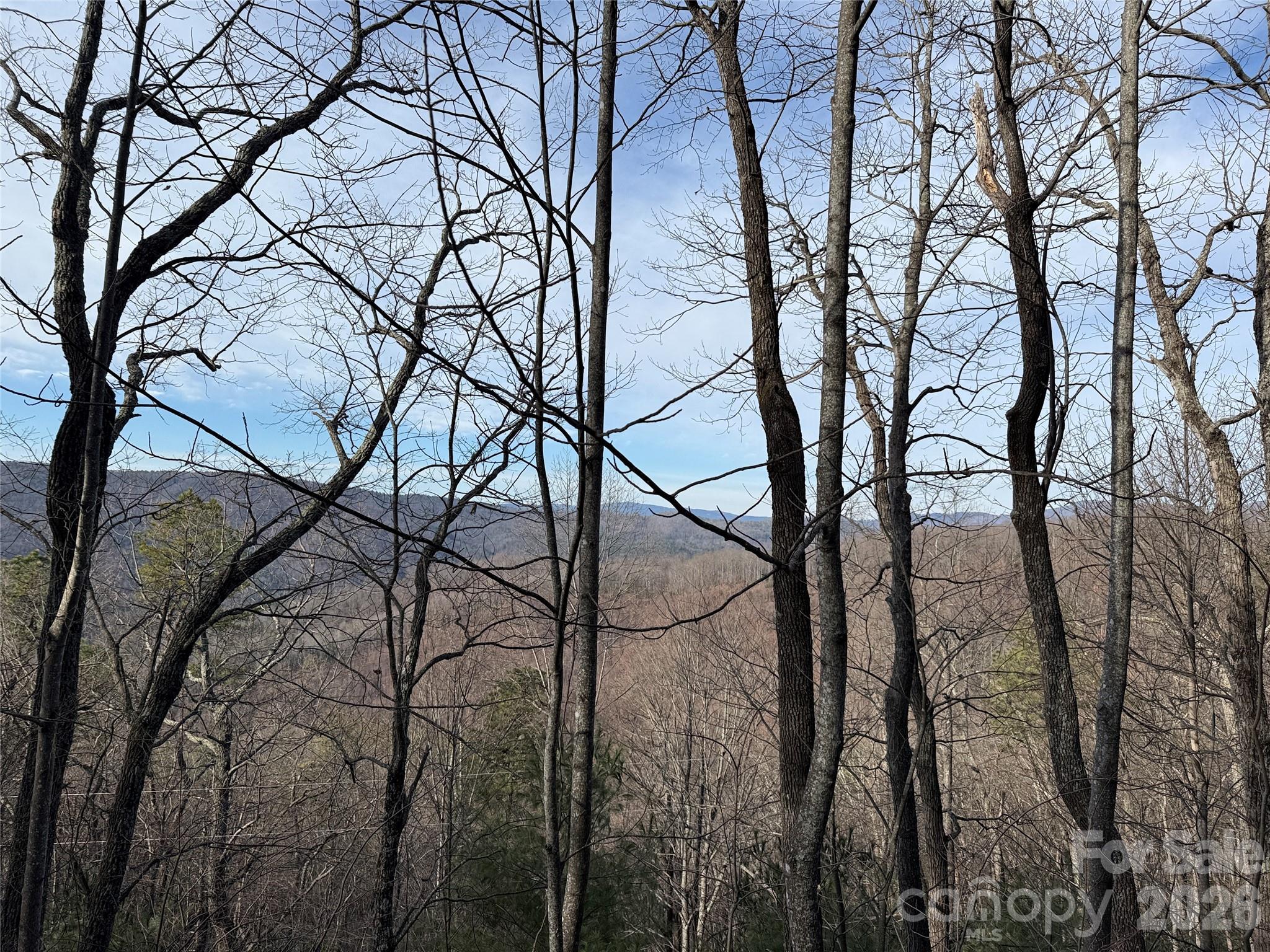 Tbd Maple Valley Lane Purlear NC 28665