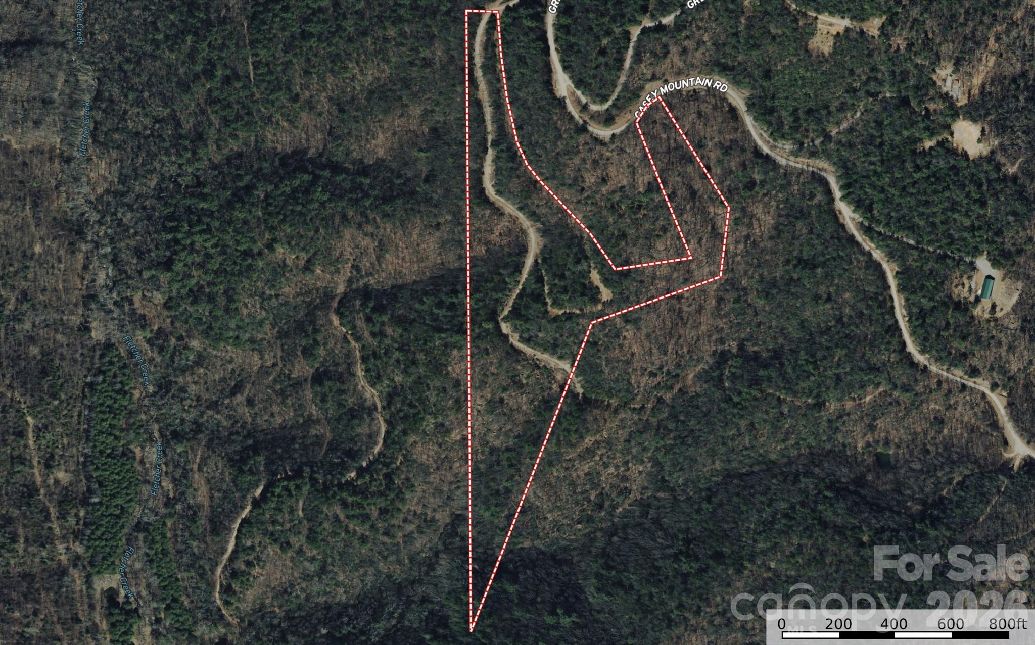 Tbd Maple Valley Lane Purlear NC 28665