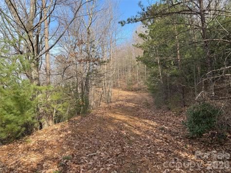 Tbd Maple Valley Lane Purlear NC 28665